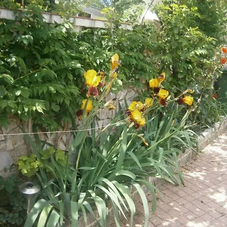 Tolle Ferienwohnung In Mit Grill, Garten Und Terrasse Und Meerblick Apartment *